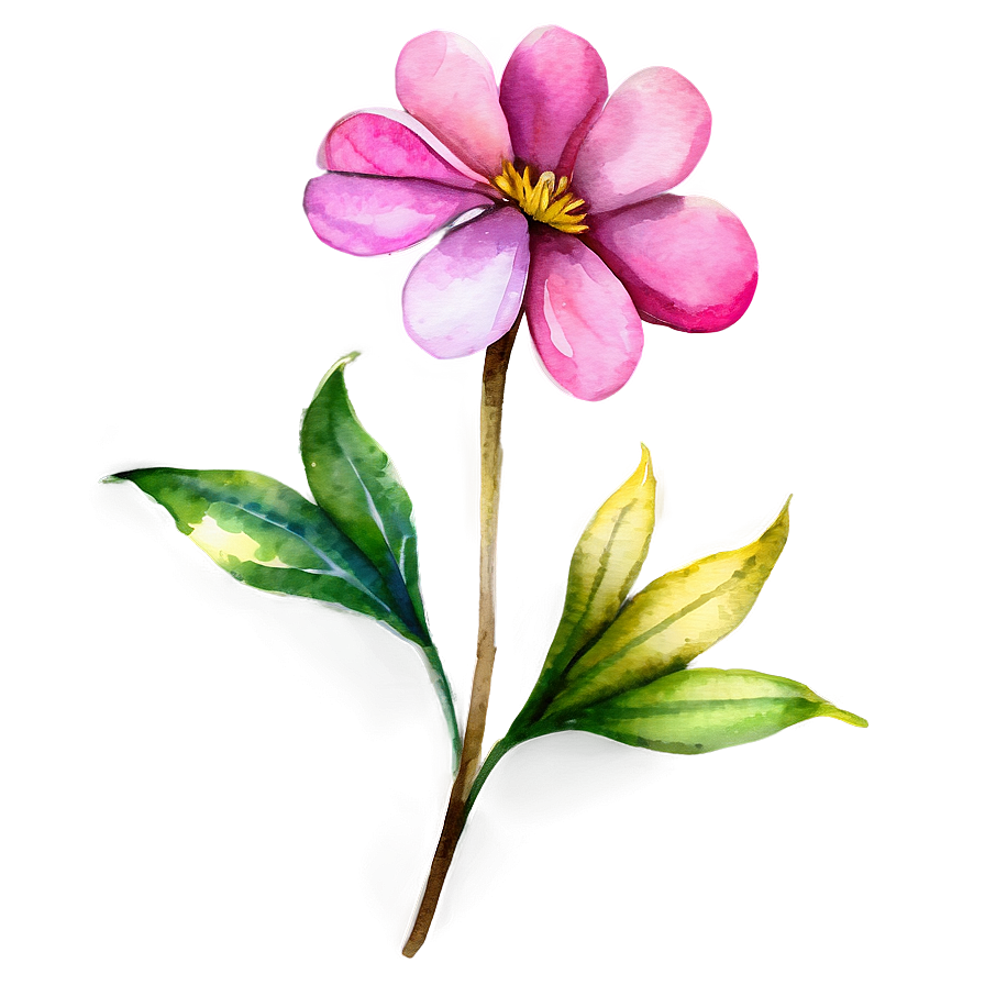 Pink Flower Watercolor Png Dis PNG image