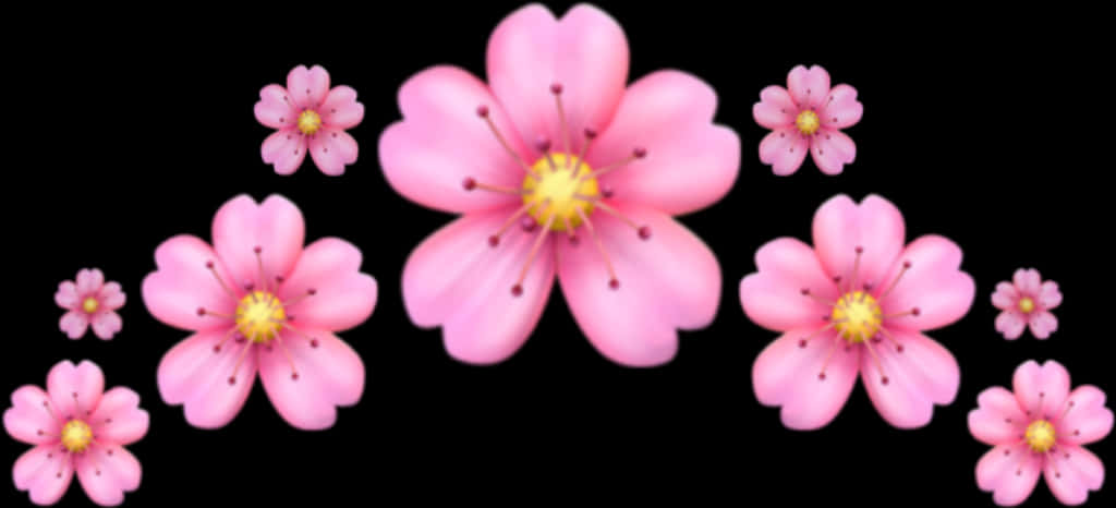 Pink_ Flowers_ Black_ Background PNG image