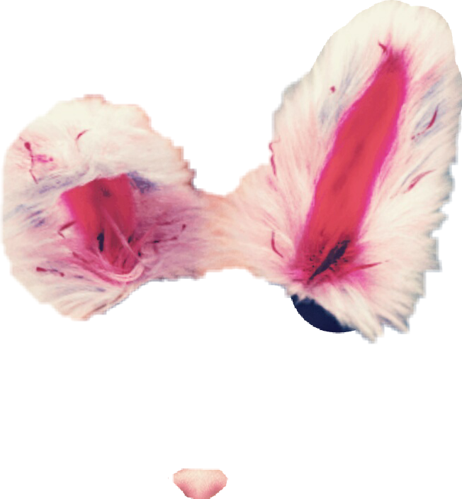 Pink Fluffy Bow Tie PNG image