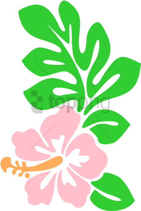 Pink Hibiscus Vector Illustration PNG image