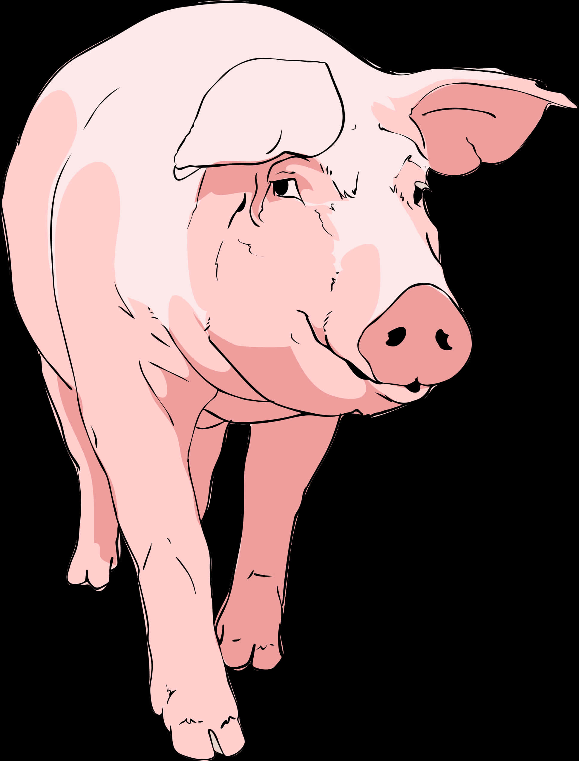 Pink Illustrated Pig PNG image
