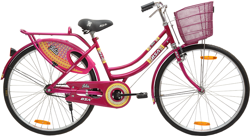 Pink Ladies Bicyclewith Basket PNG image