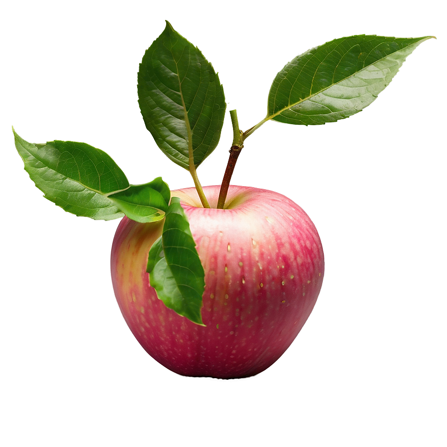 Pink Lady Apple Png 04292024 PNG image