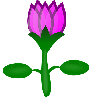 Pink Lotus Flower Illustration PNG image