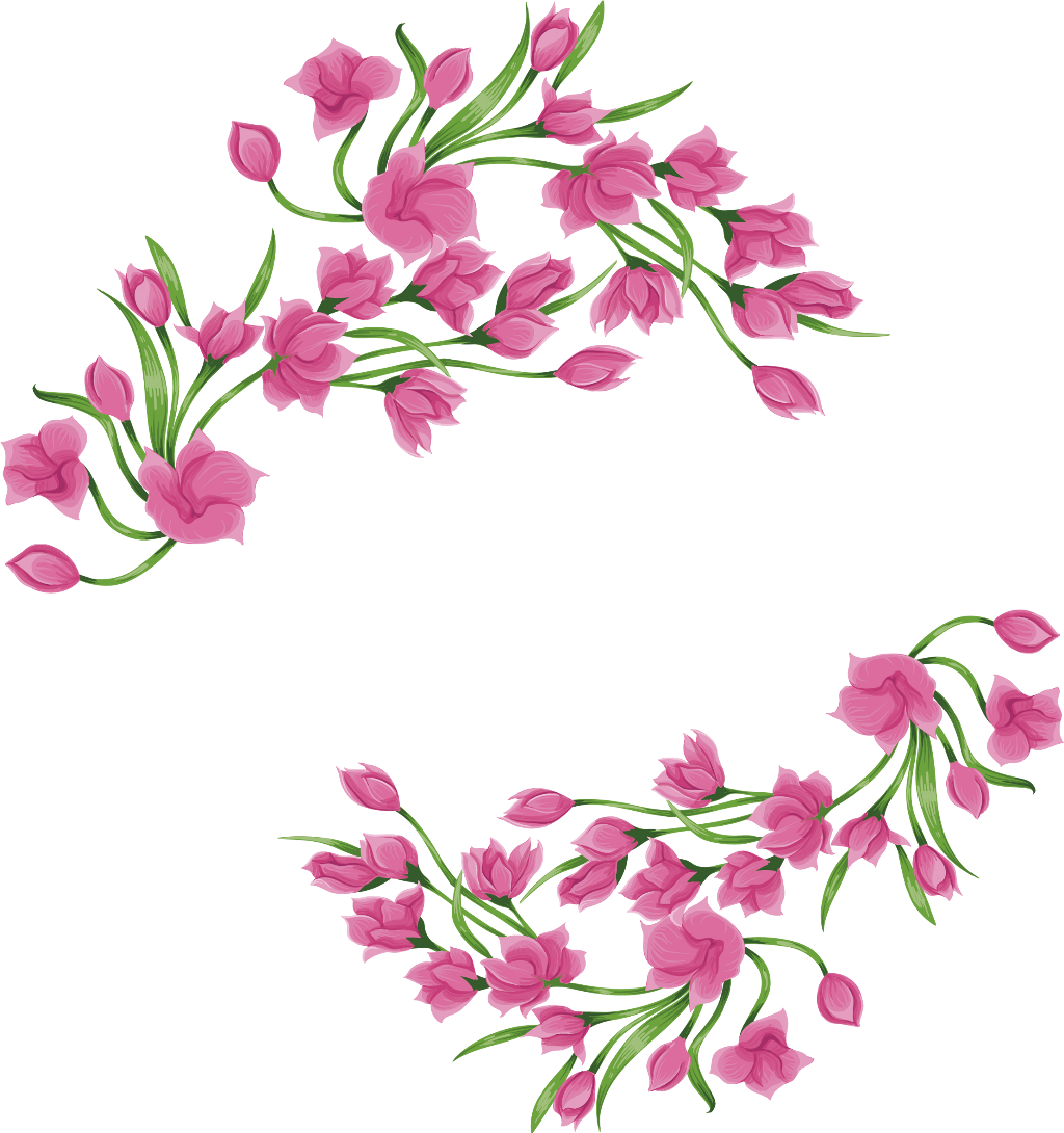 Pink Magnolia Blossoms Vector PNG image
