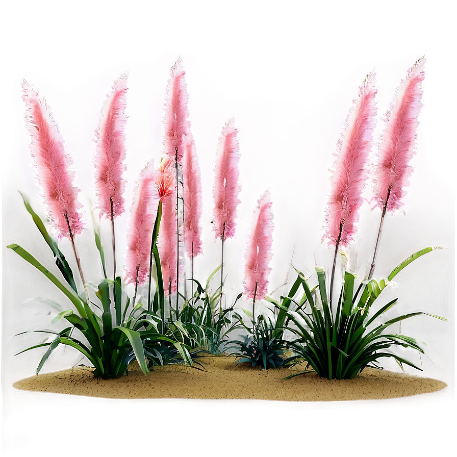 Pink Pampas Grass Png 06122024 PNG image