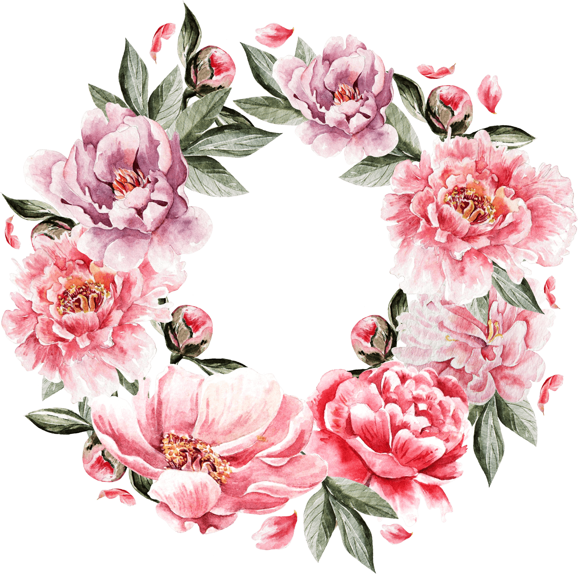 Pink Peony Floral Wreath PNG image