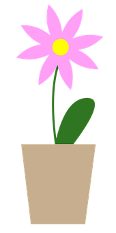 Pink Potted Flower Illustration PNG image