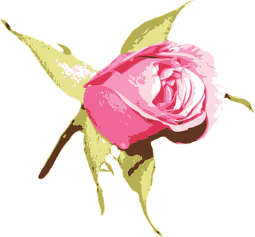 Pink Rose Artistic Illustration PNG image