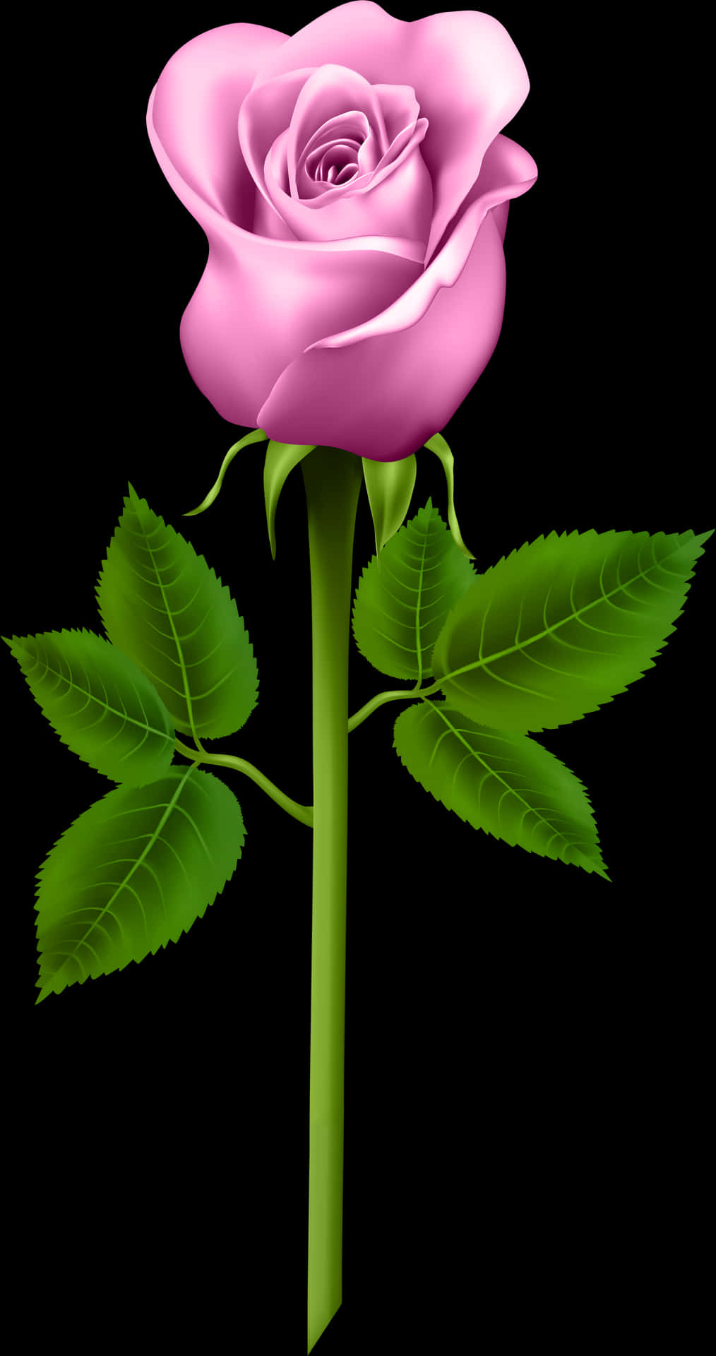 Pink Rose Black Background PNG image