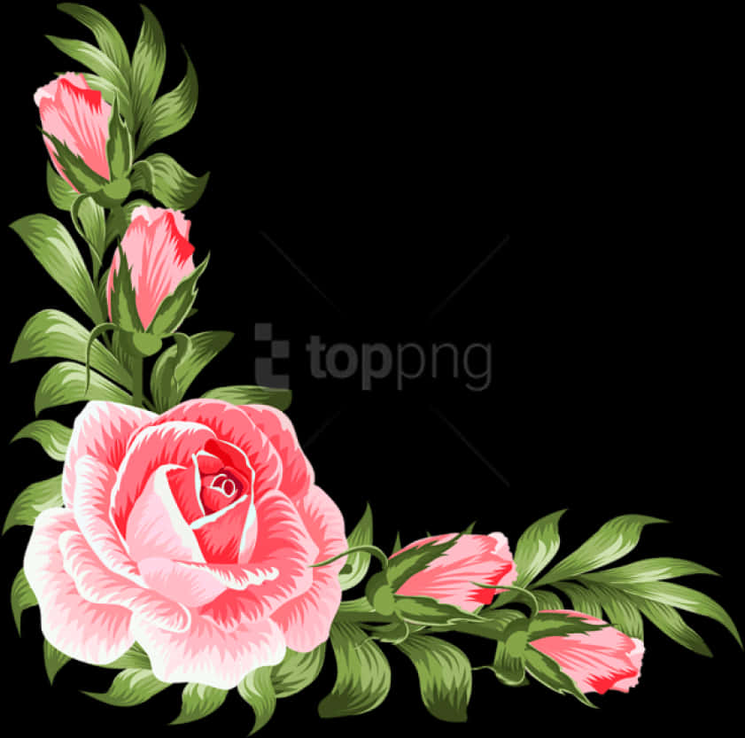 Pink Rose Corner Design PNG image
