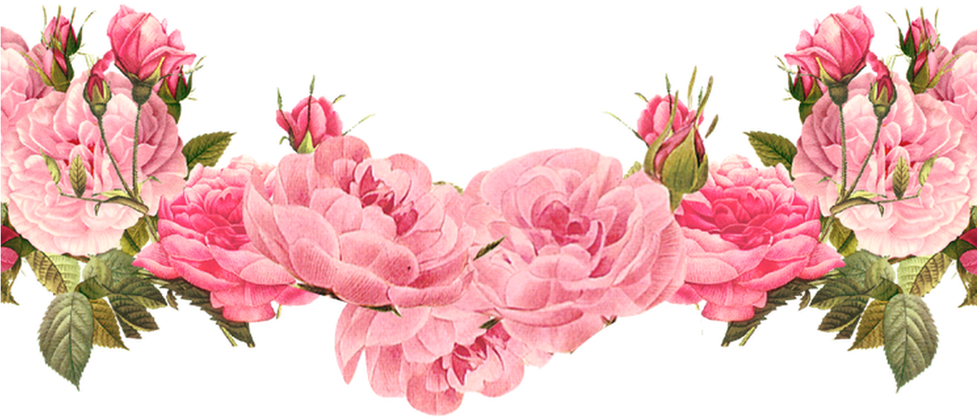 Pink Rose Floral Border PNG image