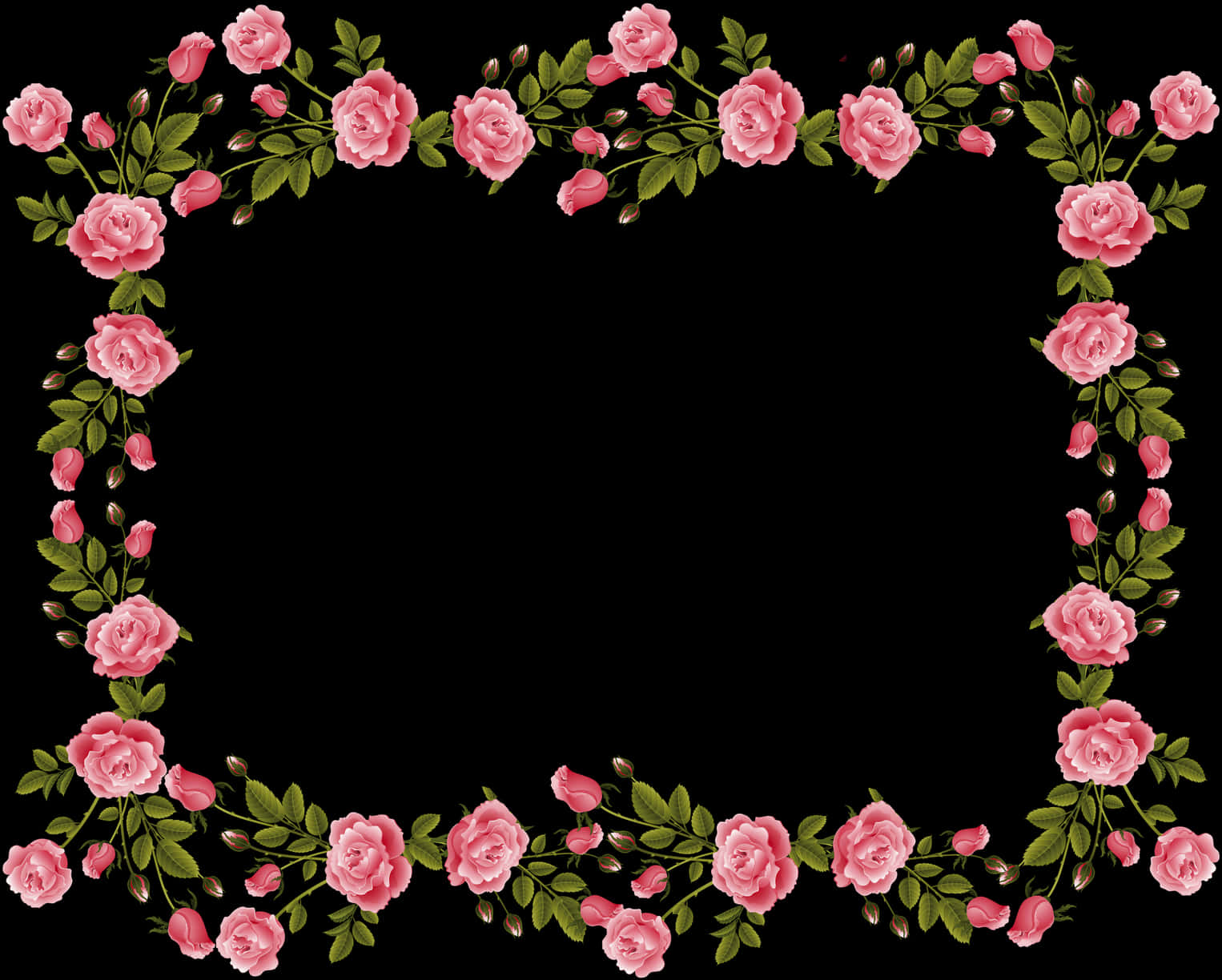 Pink Rose Frameon Black Background PNG image