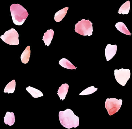 Pink Rose Petals Black Background PNG image