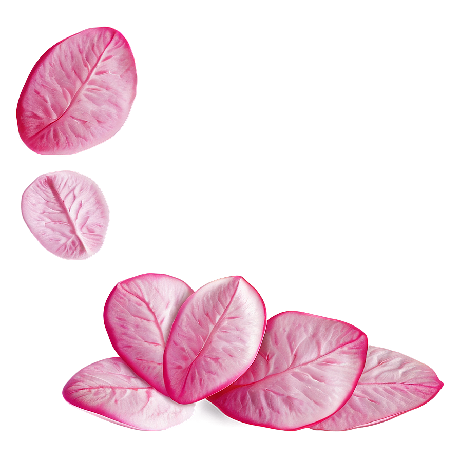 Pink Rose Petals Png 34 PNG image