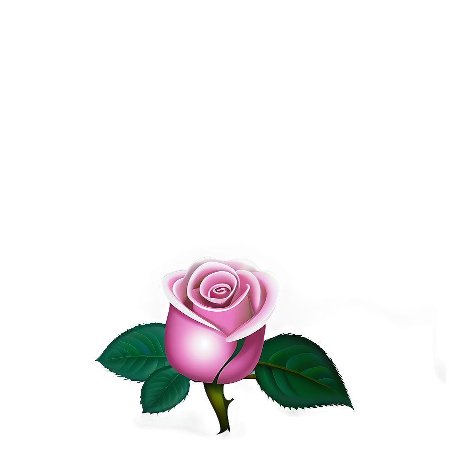 Pink Rose Wallpaper Png 53 PNG image