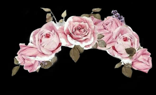 Pink Roses Black Background PNG image