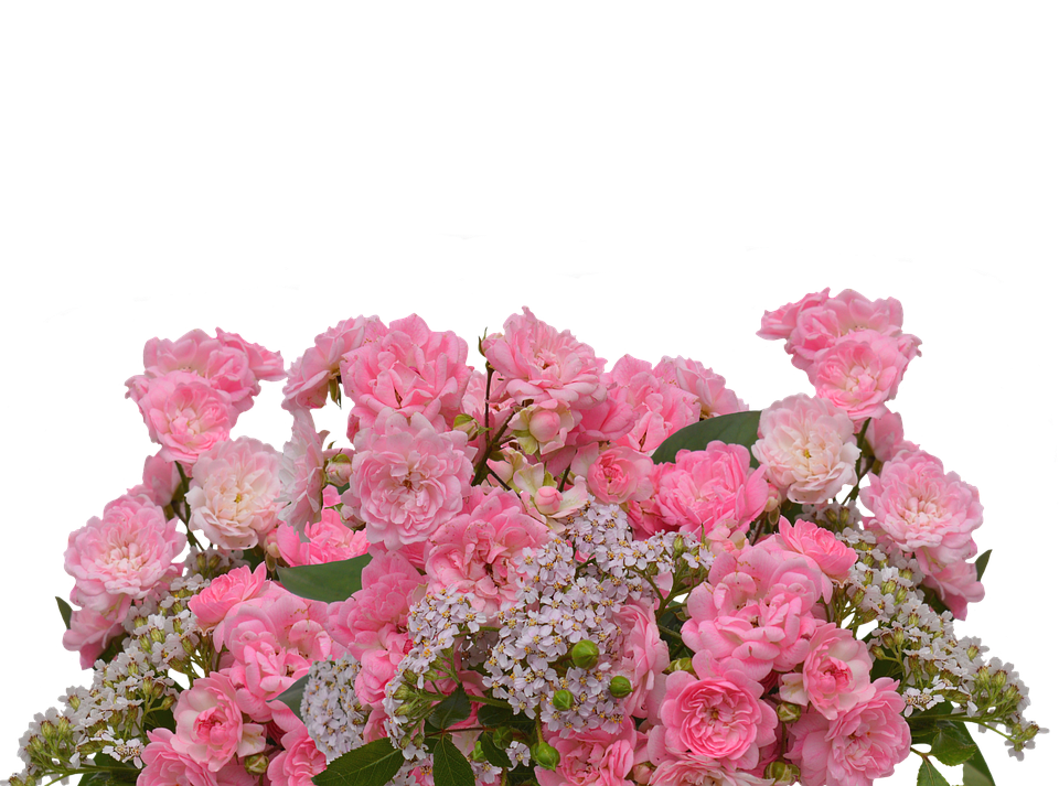 Pink Roses Bouquet Transparent Background PNG image