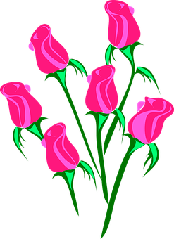 Pink Roses Vector Art PNG image