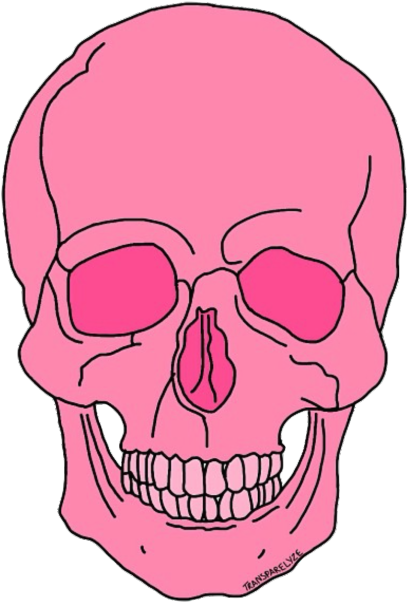 Pink Skull Illustration PNG image