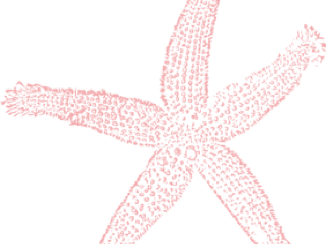 Pink Starfish Clipart PNG image