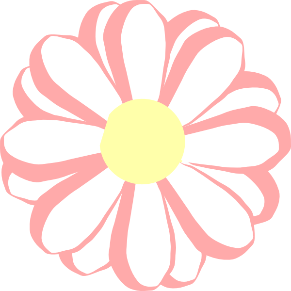 Pink White Daisy Clipart PNG image