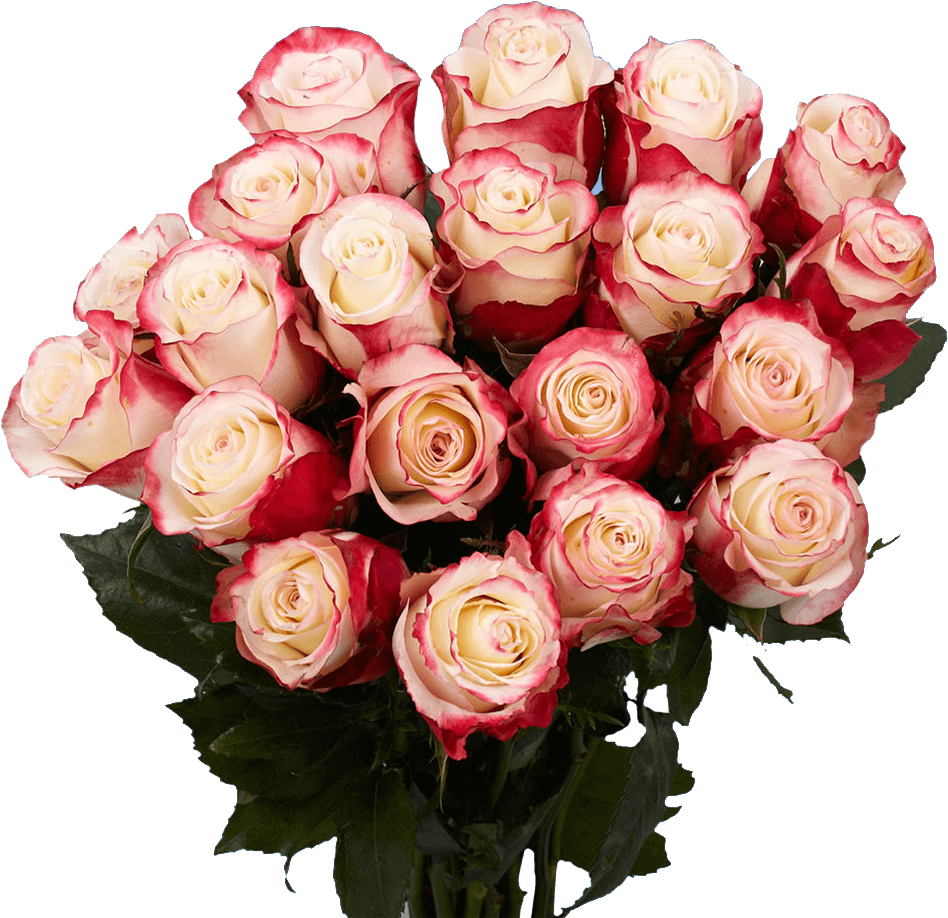 Pink White Rose Bouquet Birthday Flowers PNG image