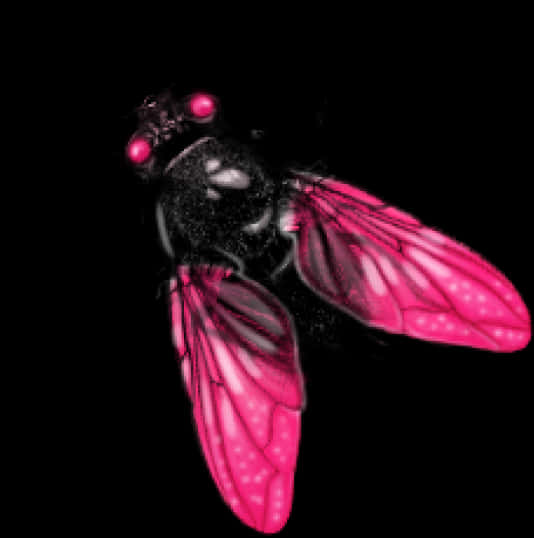 Pink Winged Fly Illustration PNG image