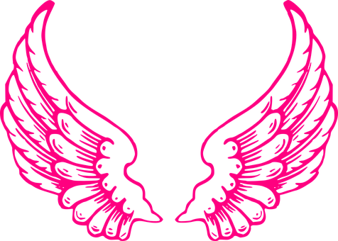 Pink Winged Silhouette Art PNG image