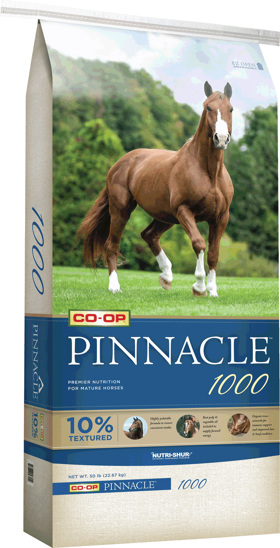 Pinnacle1000 Horse Feed Bag Design PNG image