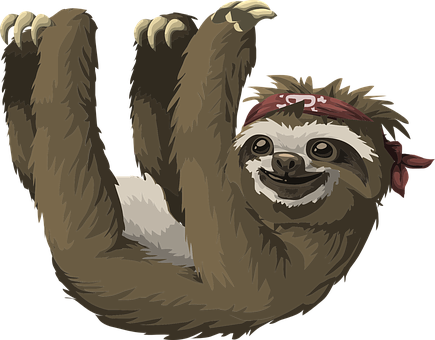 Pirate Bandana Sloth Hanging PNG image