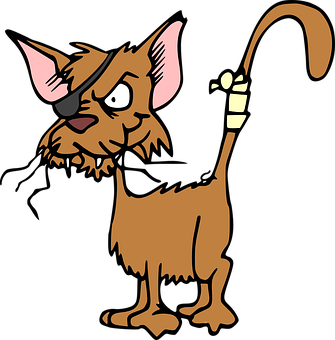 Pirate Cat Cartoon Illustration PNG image