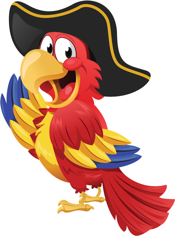 Pirate Parrot Cartoon Illustration PNG image