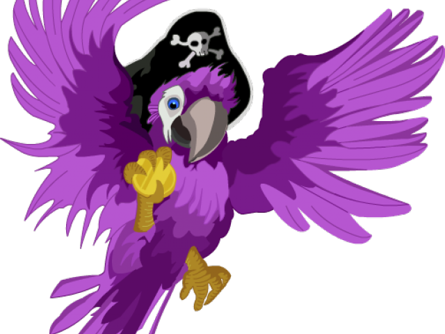 Pirate Parrot Illustration PNG image