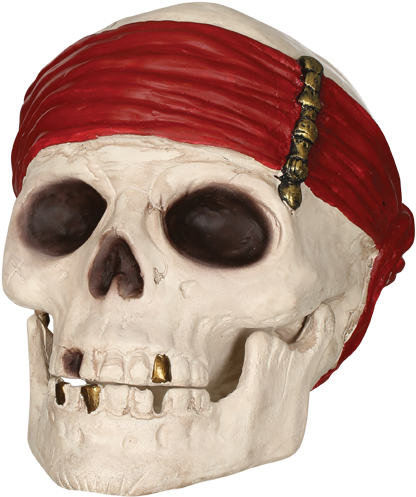 Pirate Skullwith Red Bandana PNG image