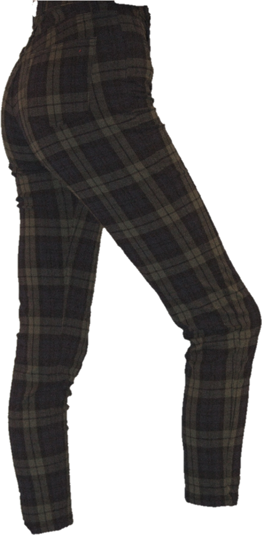 Plaid Pants Side View PNG image