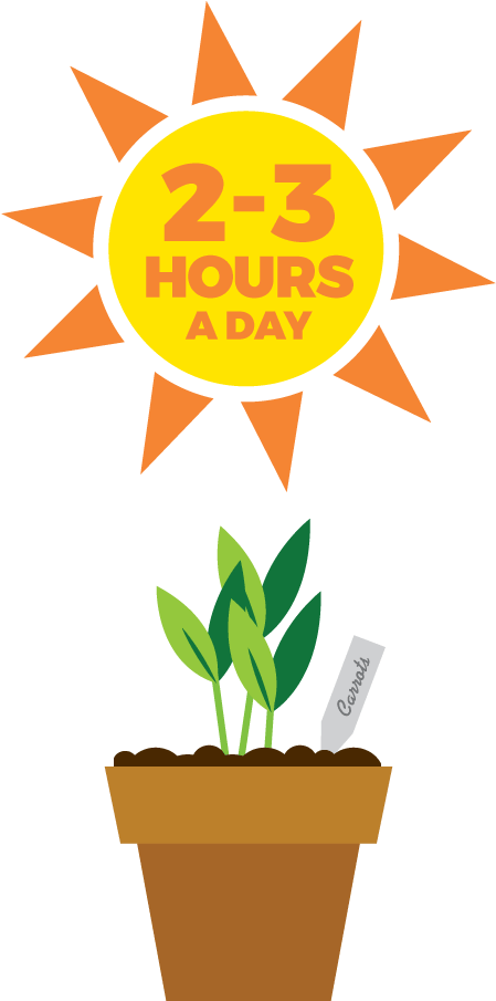 Plant Sunlight Requirement Infographic PNG image