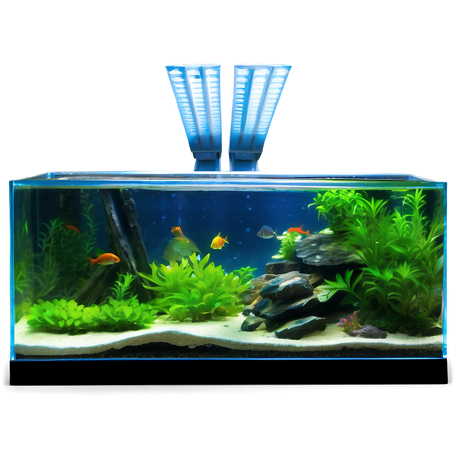 Planted Fish Tank Png 54 PNG image