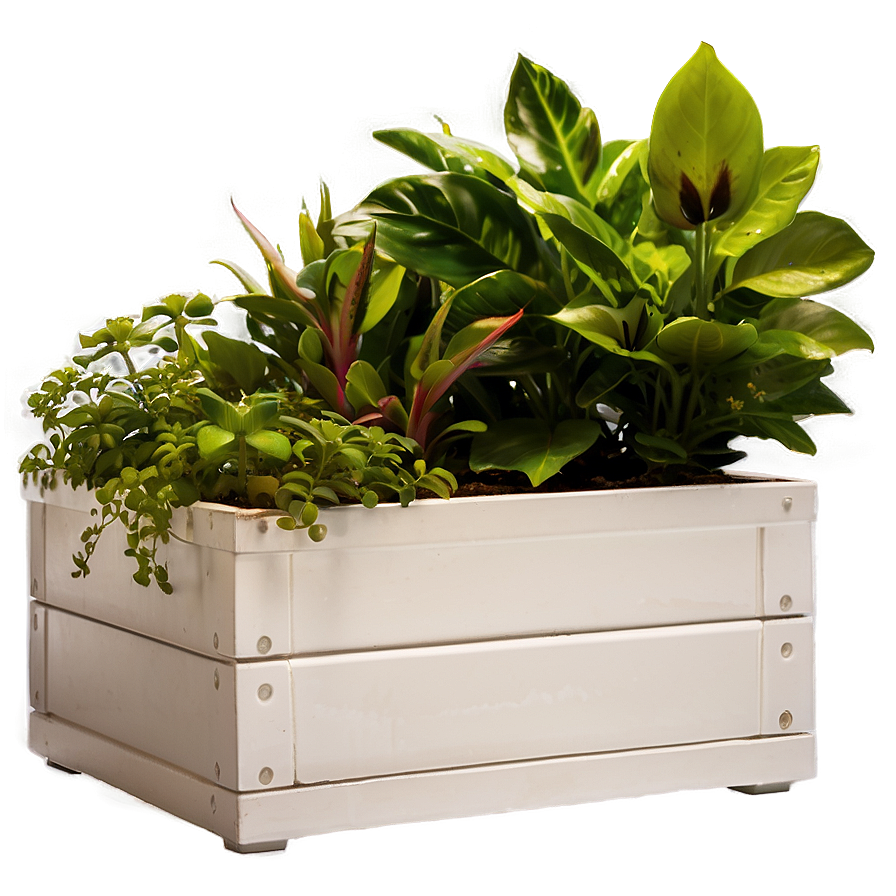 Planter Box D PNG image