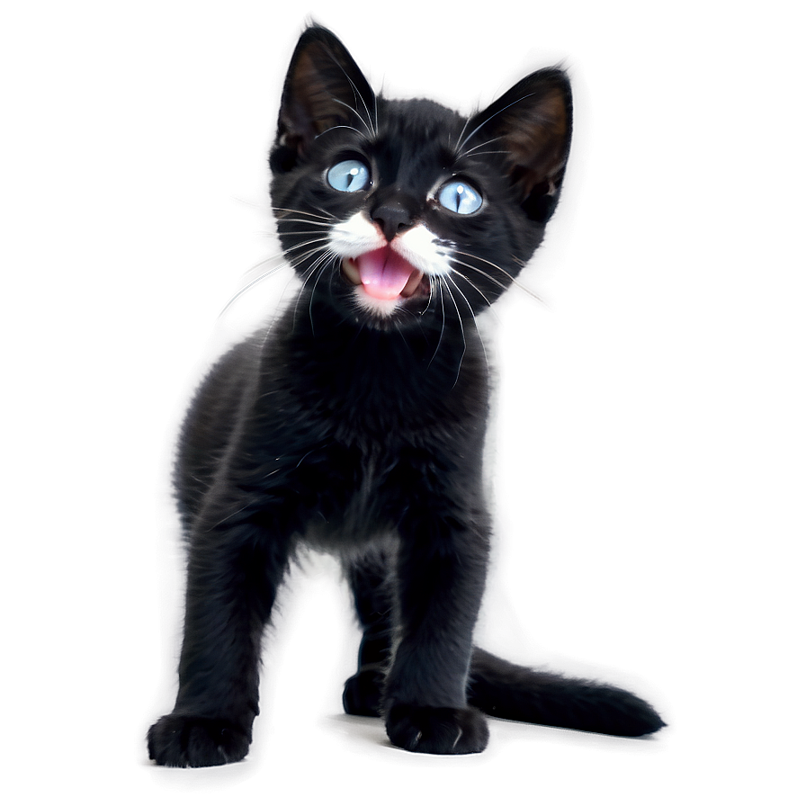 Playful Black Kitten Png 42 PNG image