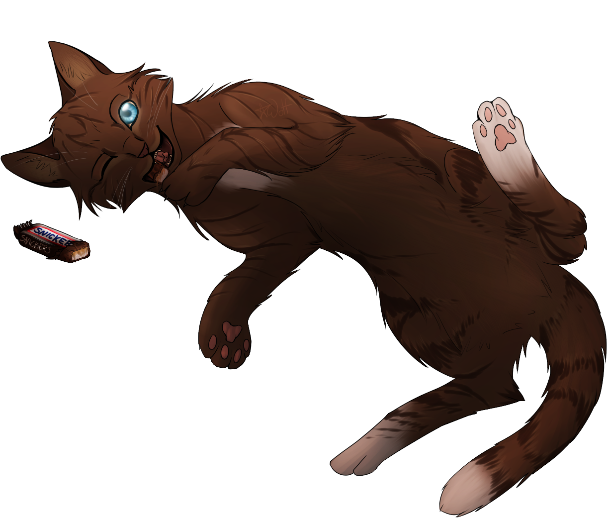 Playful Brown Cat With Snickers Bar PNG image