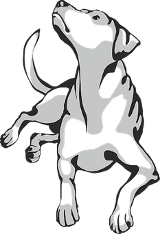 Playful Dalmatian Vector Art PNG image