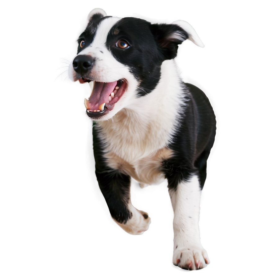 Playful Dog Png 04292024 PNG image