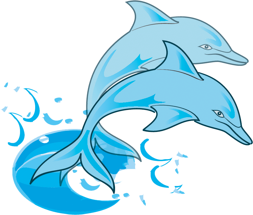 Playful Dolphins Graphic PNG image