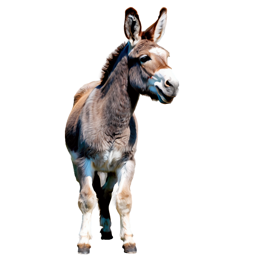 Playful Donkey Png Dqu30 PNG image