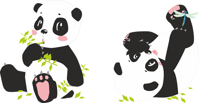 Playful Panda Cartoons PNG image