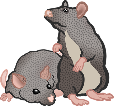 Playful_ Rats_ Vector_ Illustration PNG image