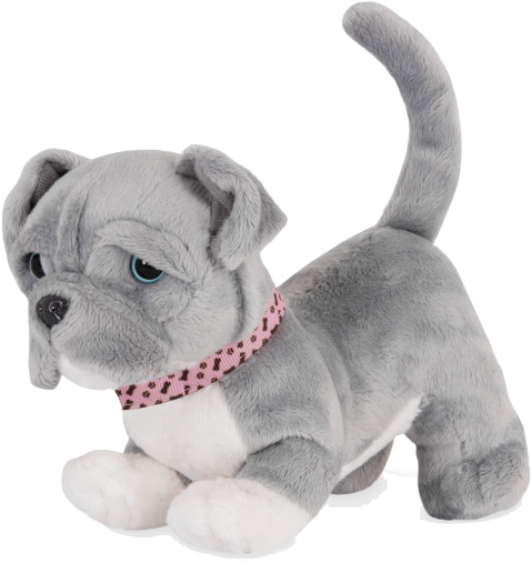 Plush Gray Puppy With Pink Collar PNG image