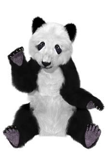 Plush Panda Toy Black Background PNG image