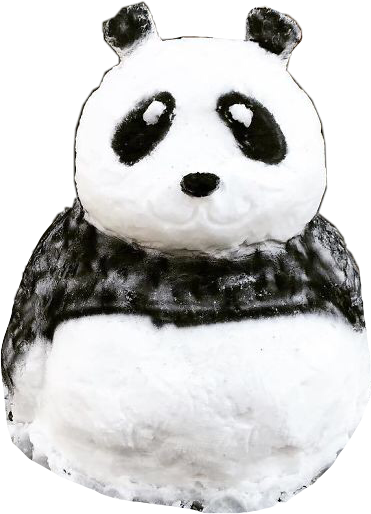 Plush Panda Toy Portrait PNG image